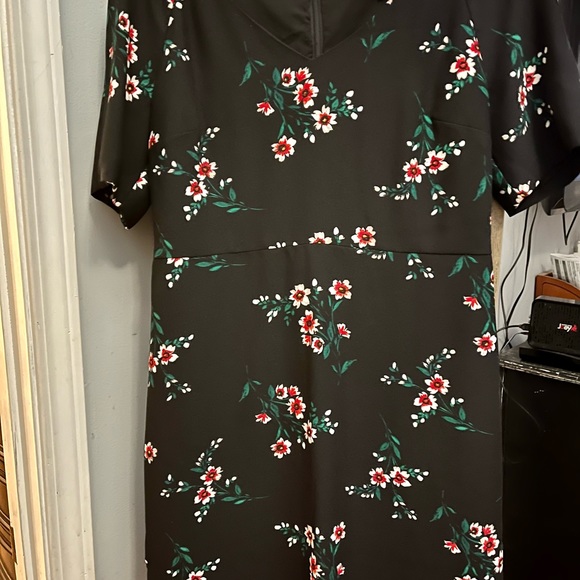 Draper James Classic anytime dress - Picture 3 of 4